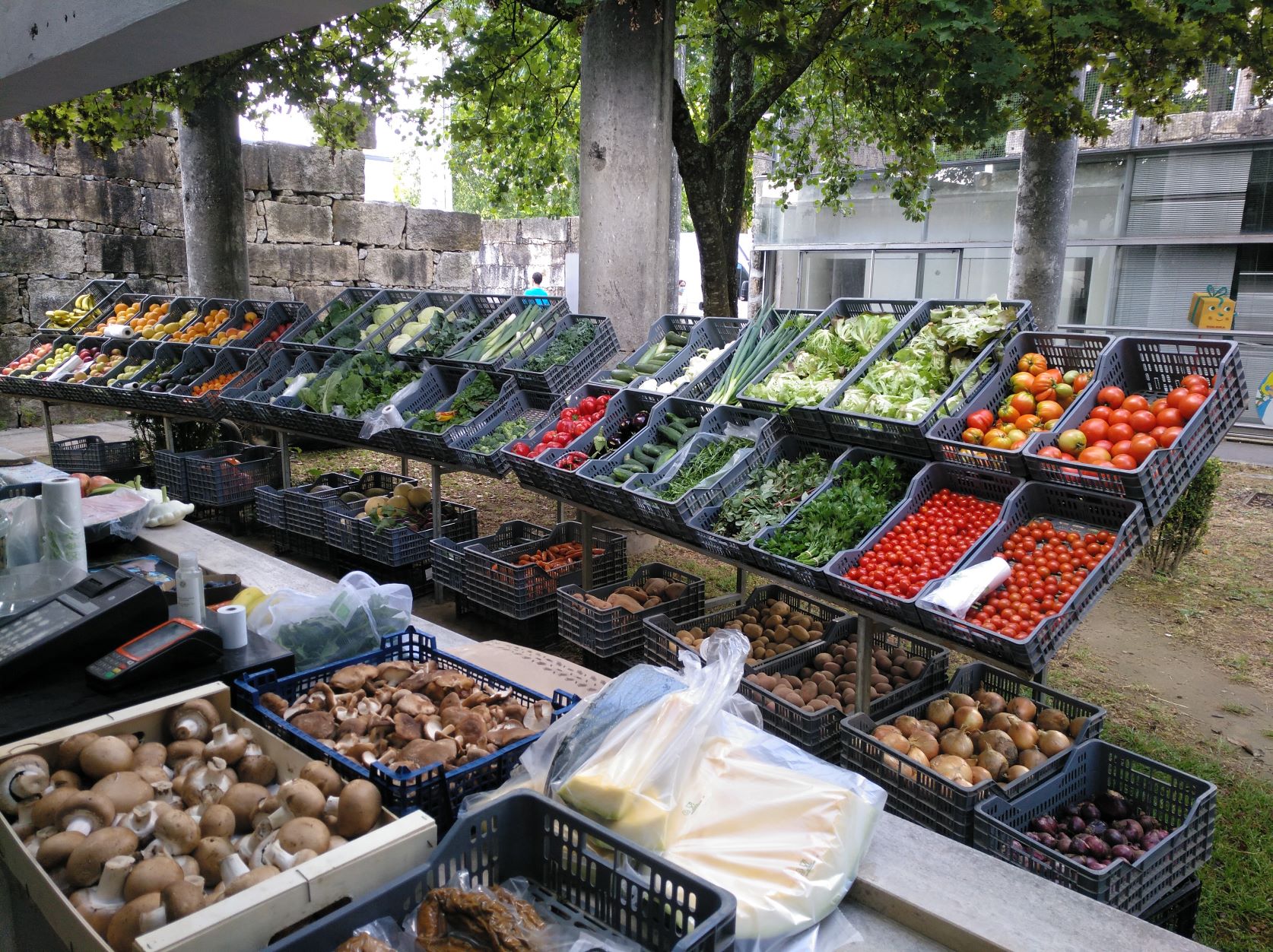 Feira de produtos biológicos de Braga