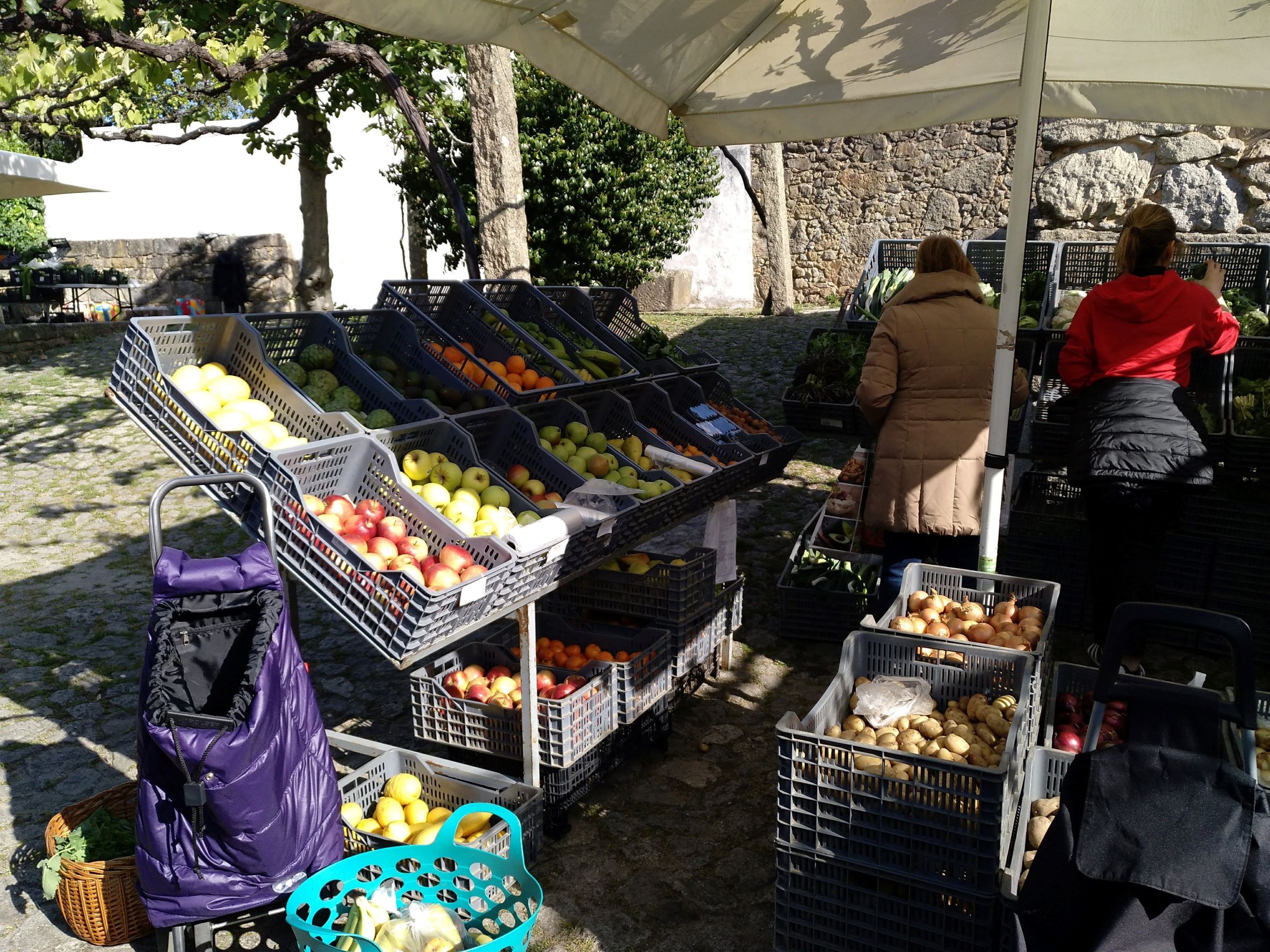 Feira de produtos biológicos do Porto